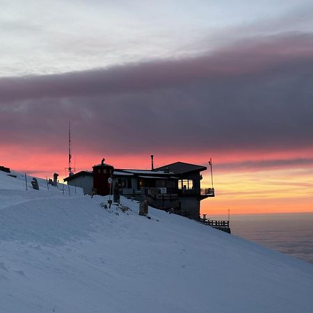Hotel Rifugio Chierego Brenzone sul Garda Esterno foto